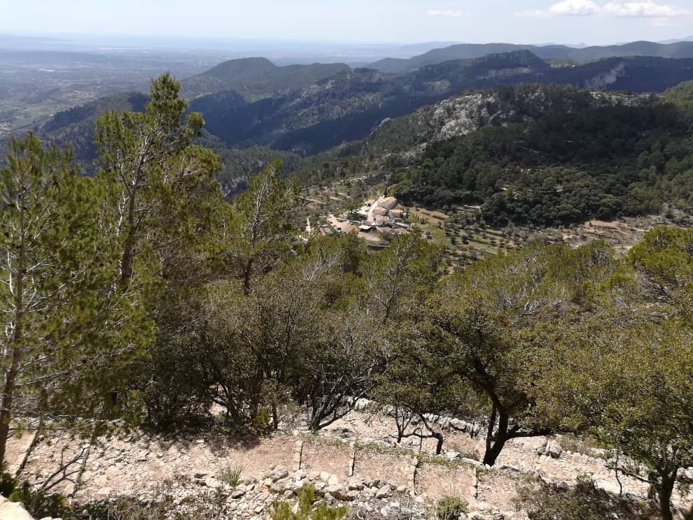 Historic Castle Ruins