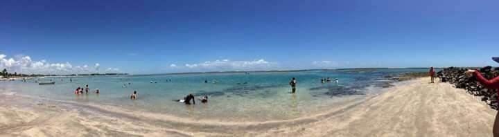 Crystal Clear Waters