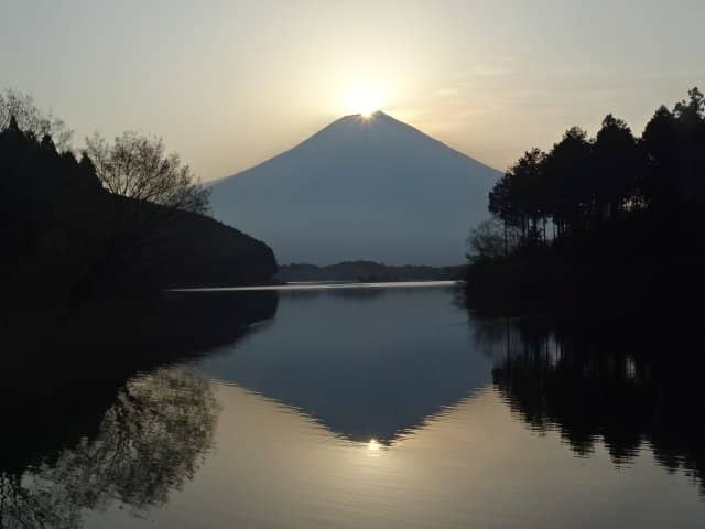 Peaceful Nature Escape