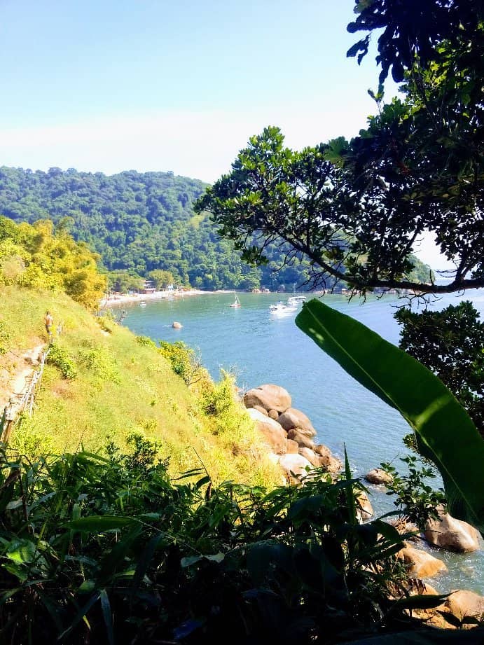 Lush Green Surroundings