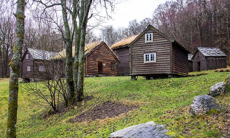 Farm Animals and Coastal Views