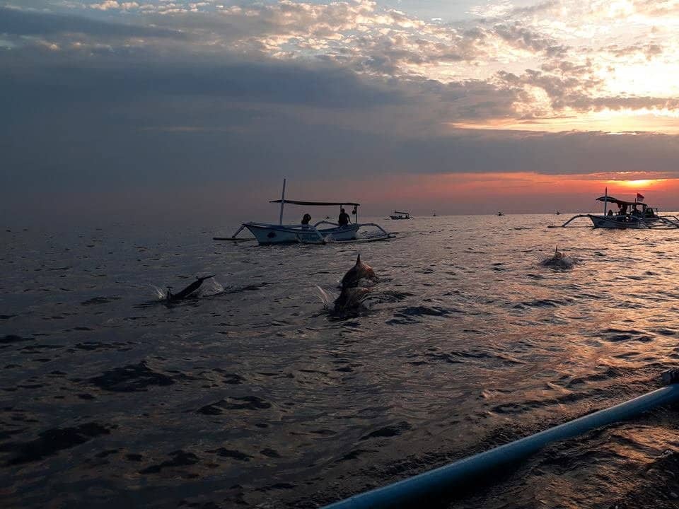 Snorkeling Adventure