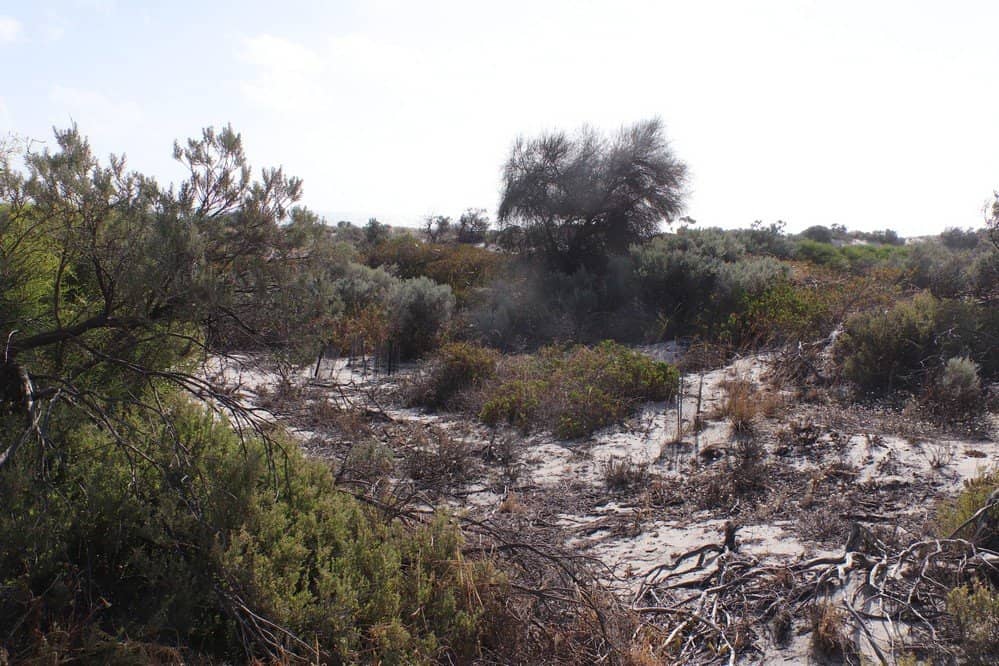 Estcourt House Lookout