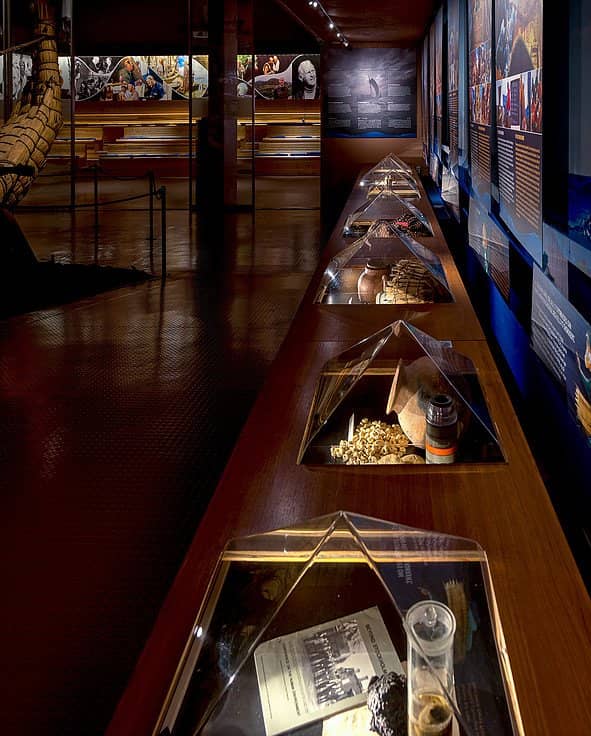 Thor Heyerdahl's Artifacts