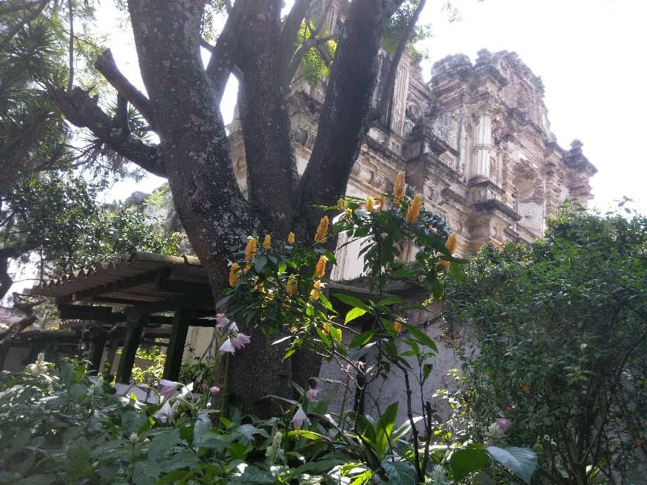 Peaceful Gardens and Courtyards