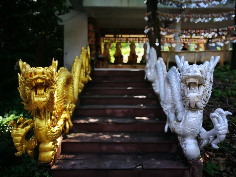 Panoramic City Views