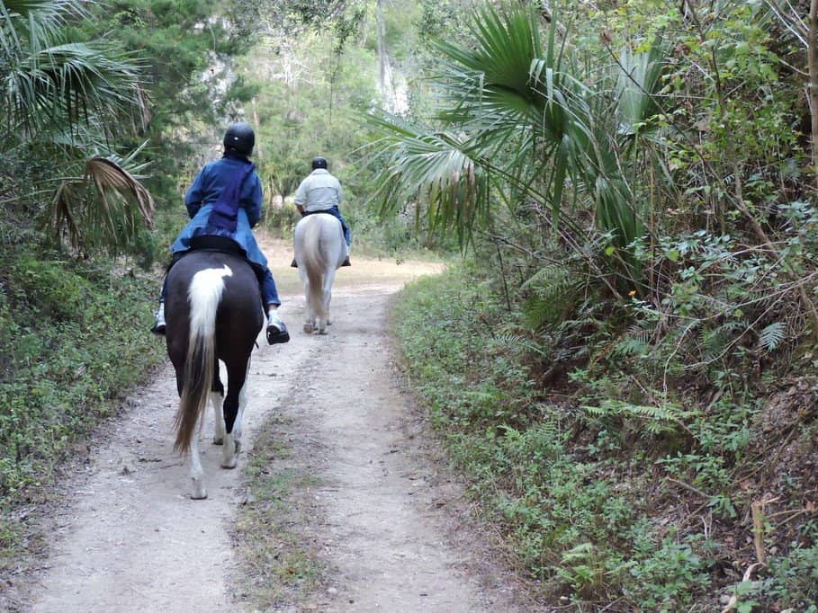 Horseback Riding Adventure