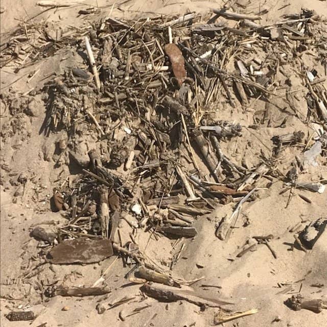 West Beach Boardwalk