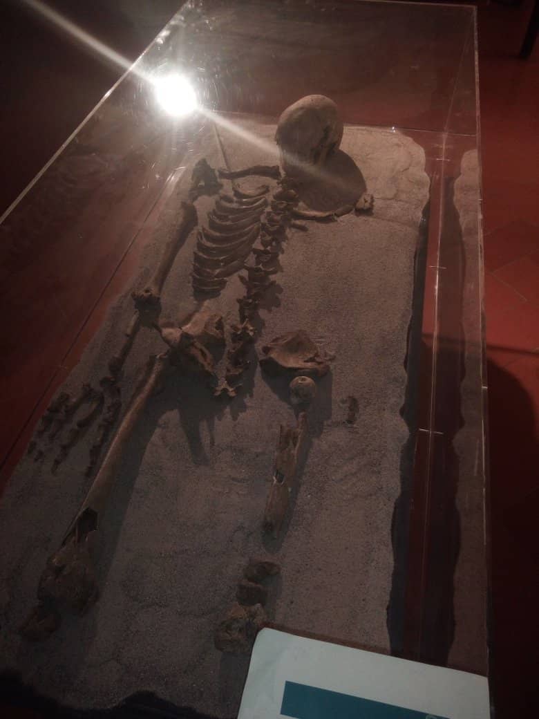 3D Viewer of Vada Volaterrana