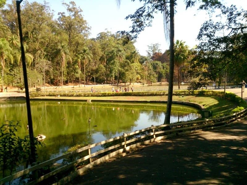 Green Oasis