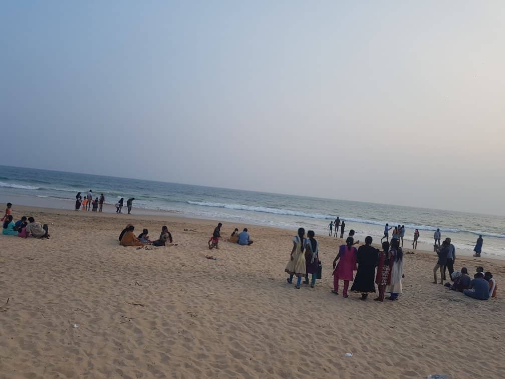 Observation Tower Views