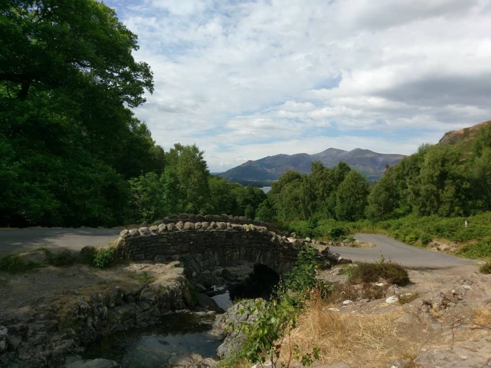 The Bouncy Suspension Bridge