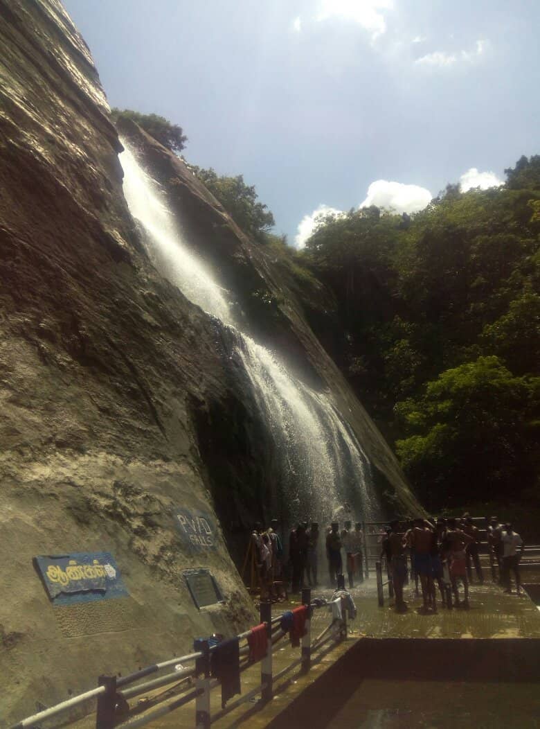 Forest Department Care