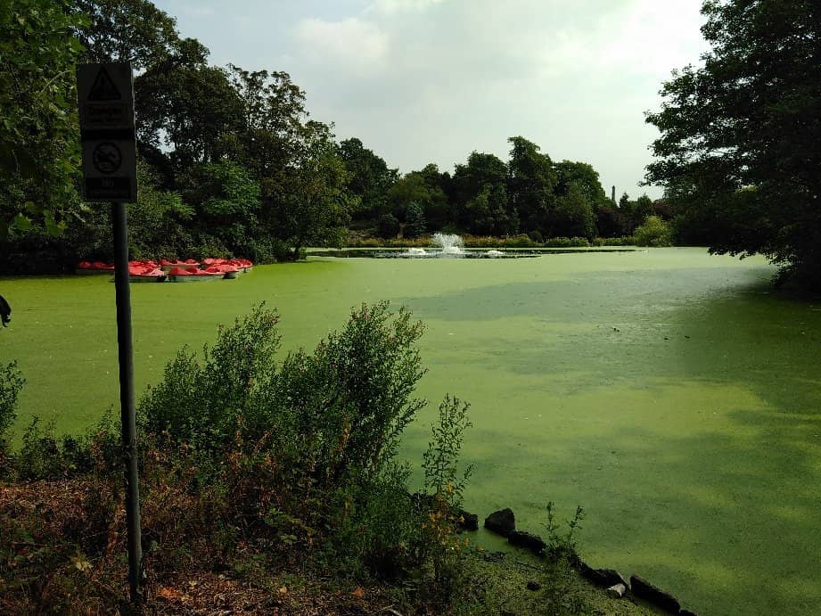 Augustinian Monastery Ruins