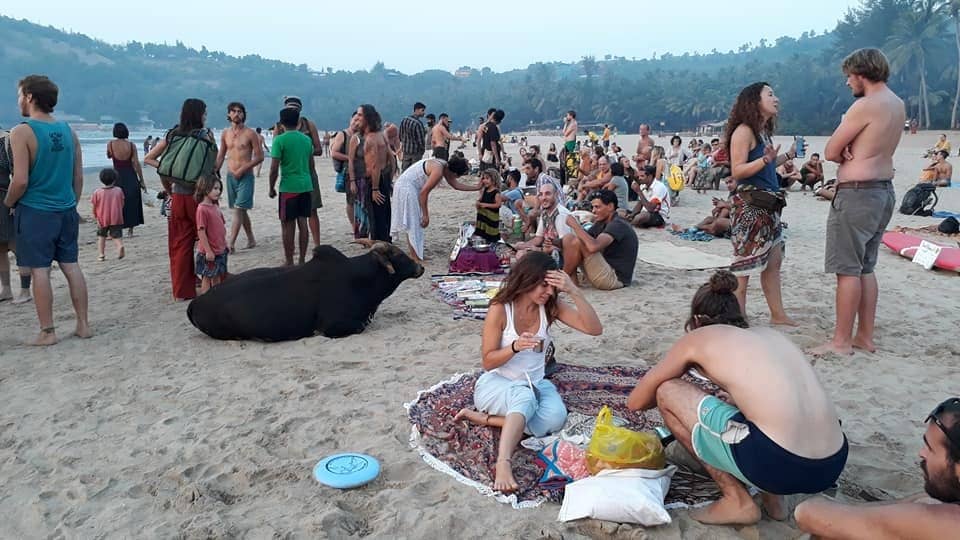 Trek to Nearby Beaches