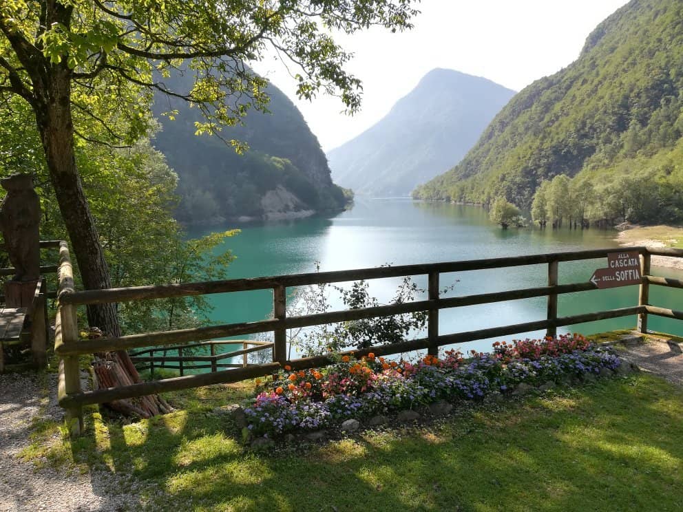 Peaceful Natural Atmosphere