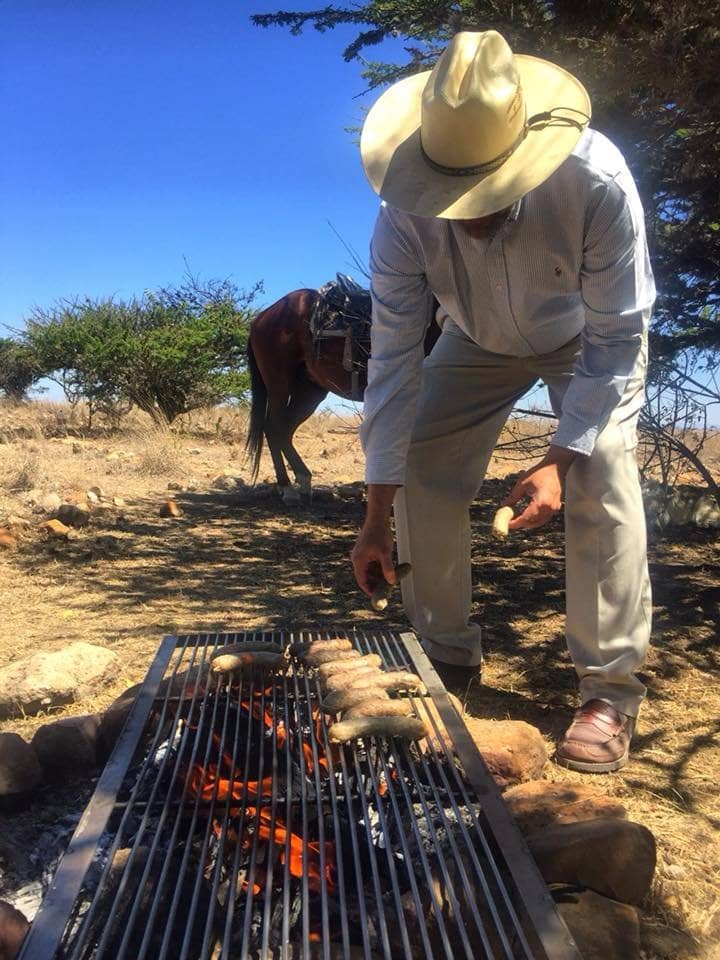 Working Ranch Setting