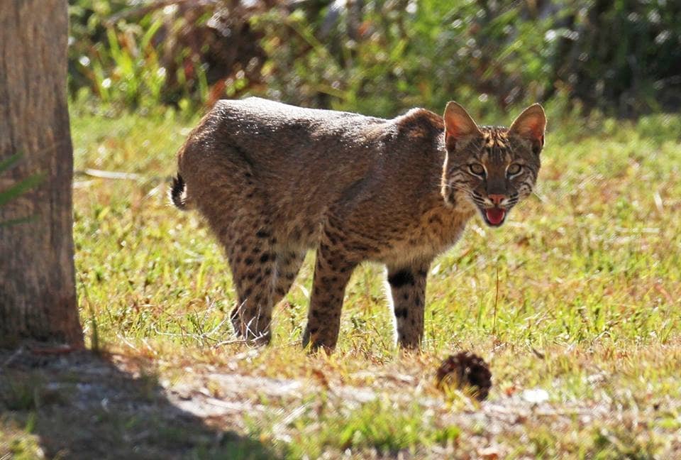 Extensive Trail Network