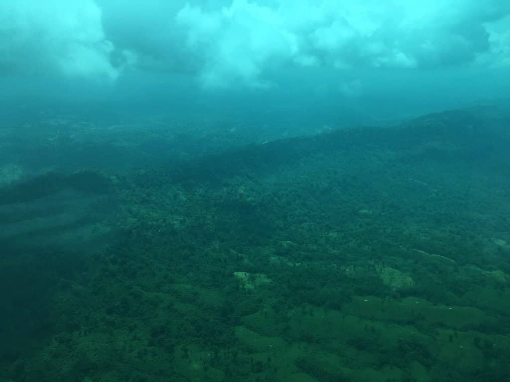 Vibrant Flower Gardens