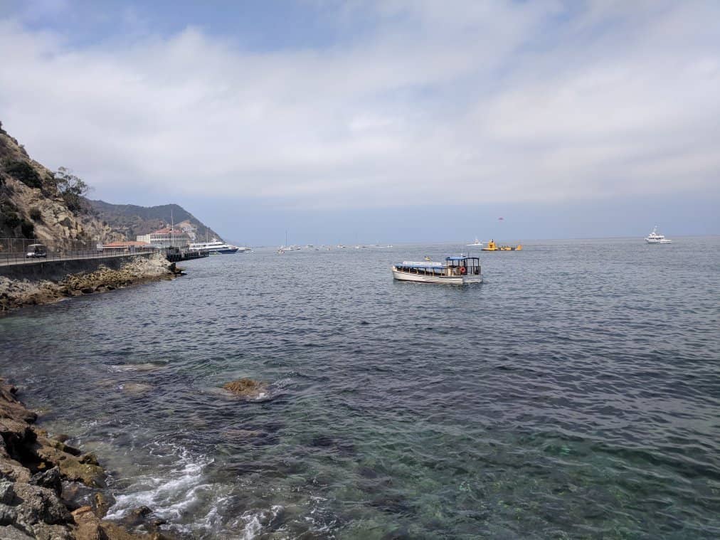 Kelp Forest Exploration