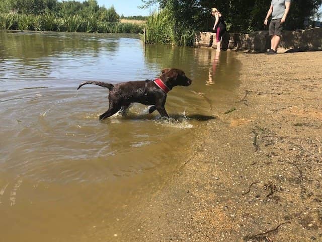 Playgrounds & Fairy Gardens