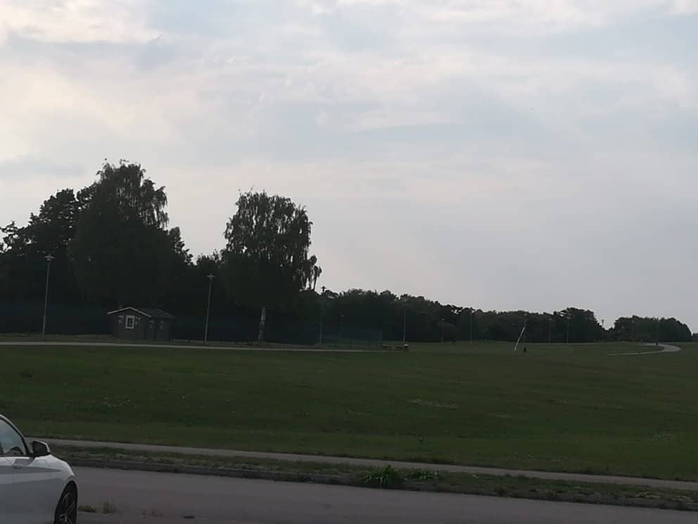 Informative Wooden Walkways