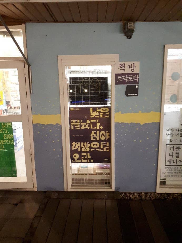 Friendly Resident Cats