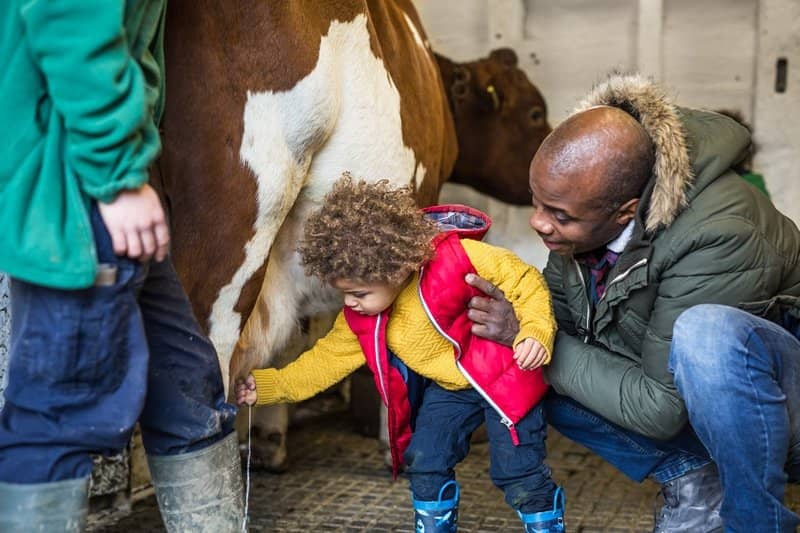 Play Barn and Soft Play