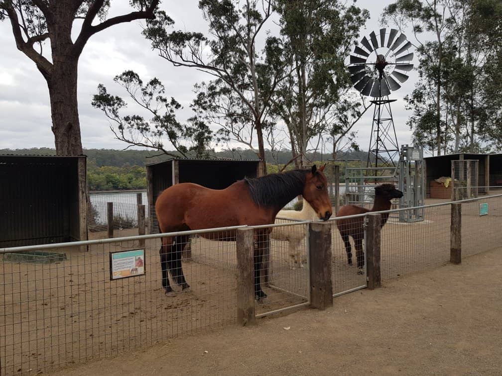 Informative Keeper Talks