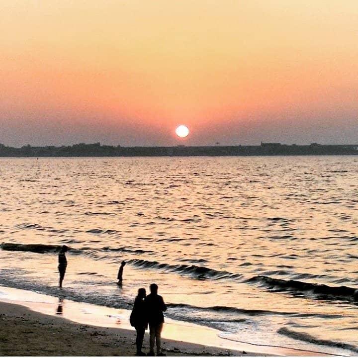 Cricket Pitch & Sports Hub