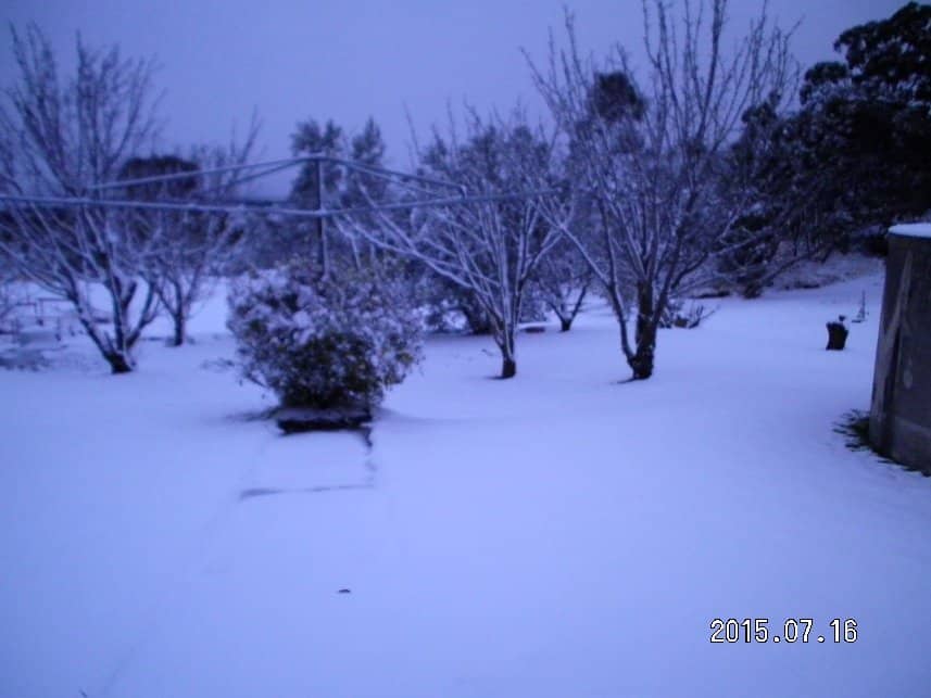 Cozy Log Cabin Accommodation