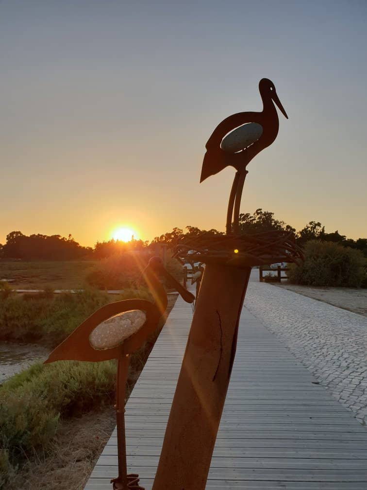 Birdwatching Paradise