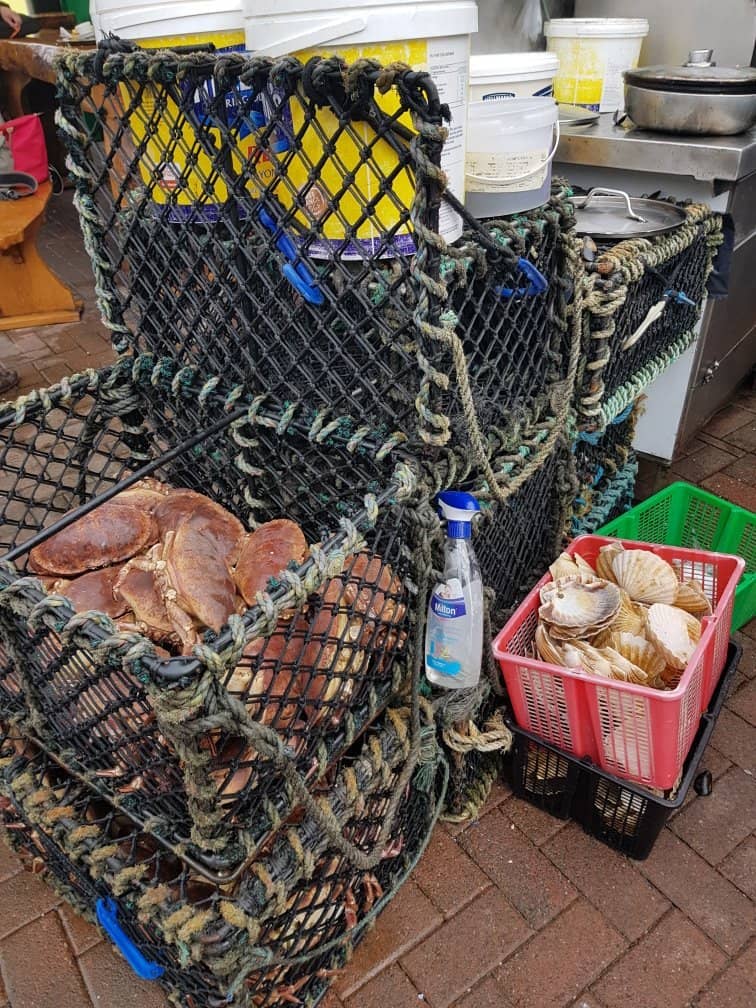 Spectacular Platters and Signature Dishes