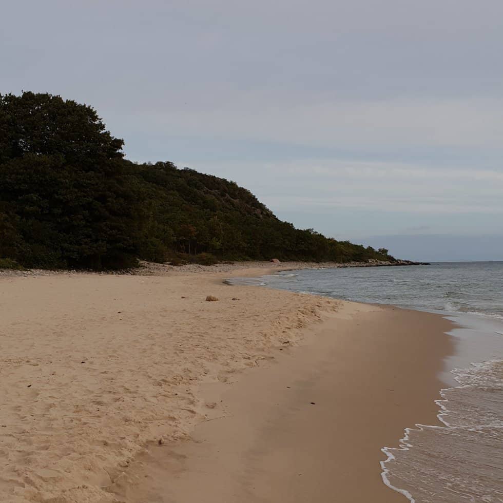 Stenshuvud Beach