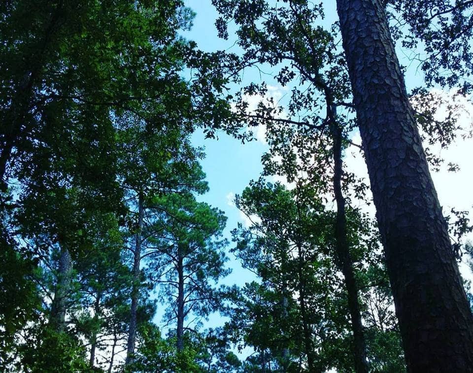 Night Sky Visibility