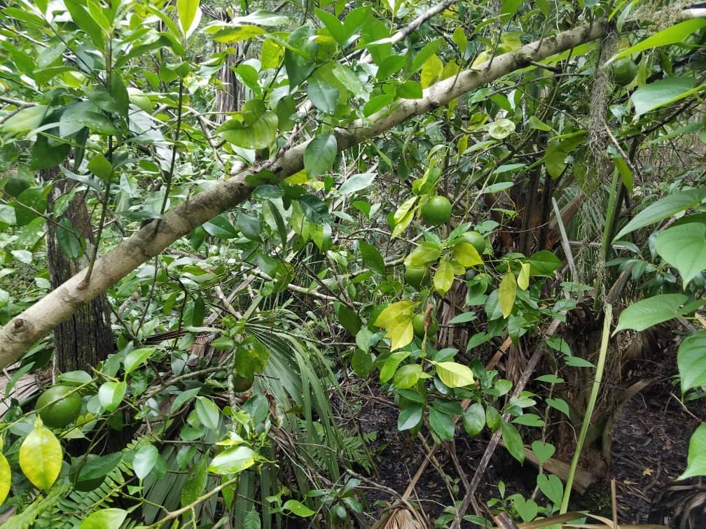 Abundant Wildlife Sightings