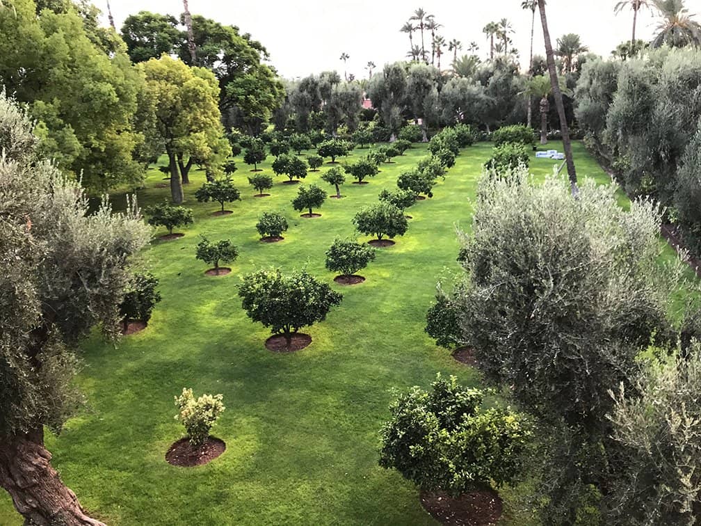 Traditional Hammam Ritual