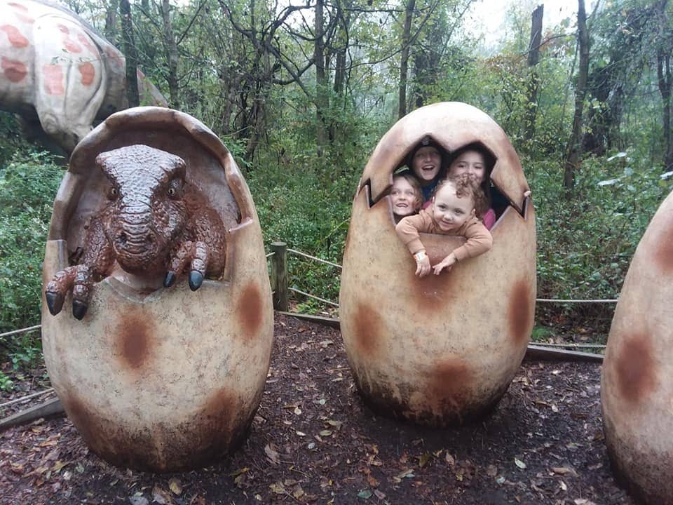 Interactive Dinosaur Building