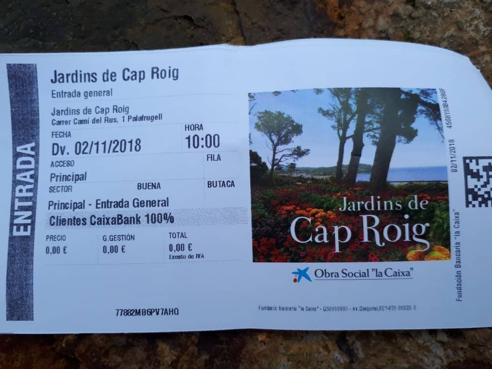 Diverse Botanical Collections