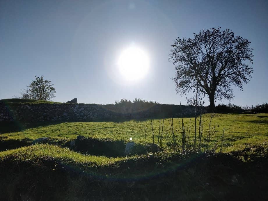 Strangford Lough Views