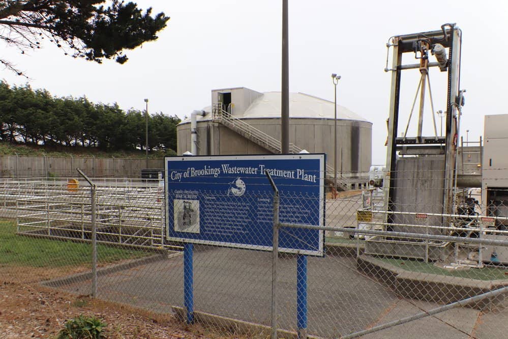 Secluded Driftwood Beach