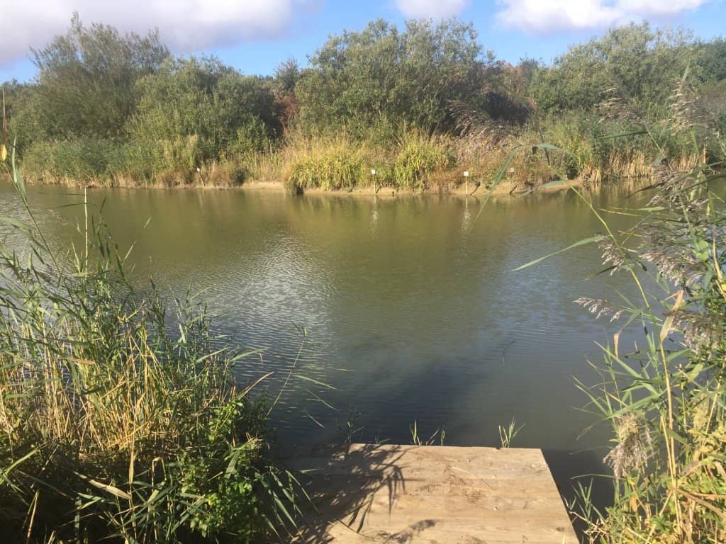 Woodland & Lake Walks