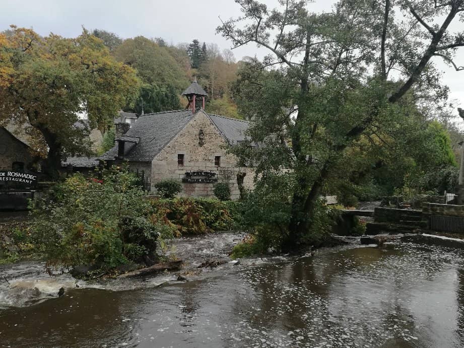 Exceptional Allergy Accommodations