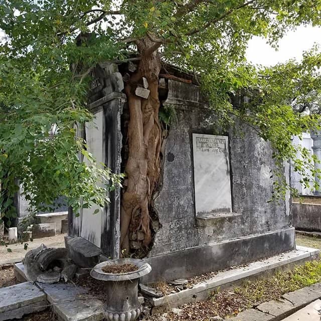 Garden District Views