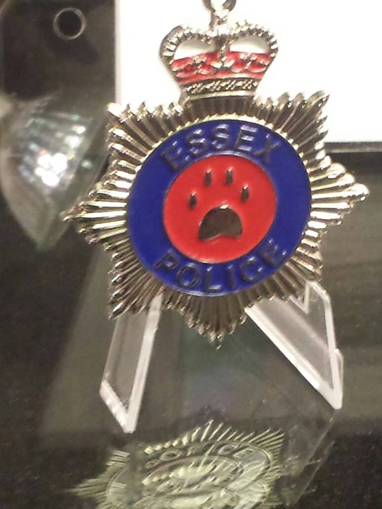 Crime-Solving Activities