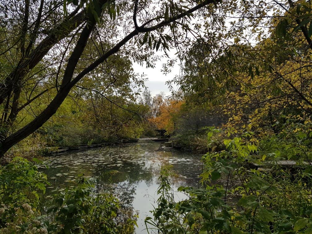 Stone Pathways & Bridges