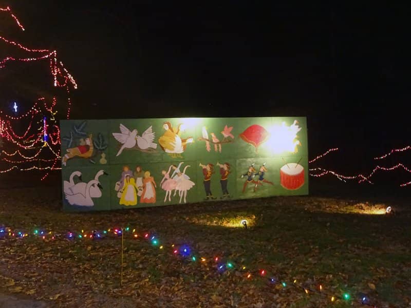 Volunteer Dedication