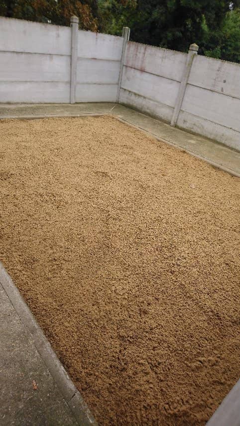 Prehistoric Discoveries