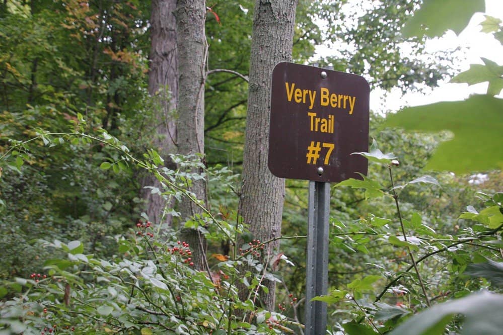 Extensive Trail Network