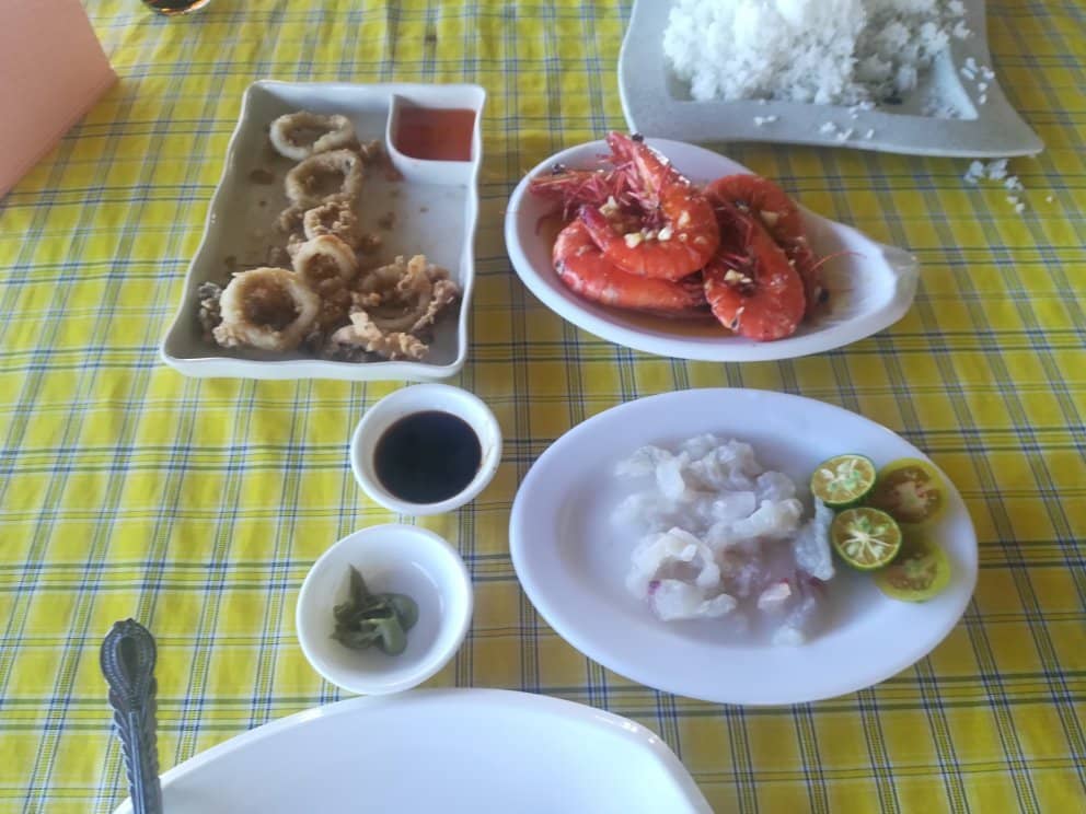 Abundant Marine Life